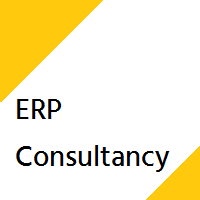 ERP Consultancy